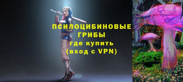 индика Анжеро-Судженск