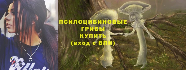 прущие крисы Куйбышев
