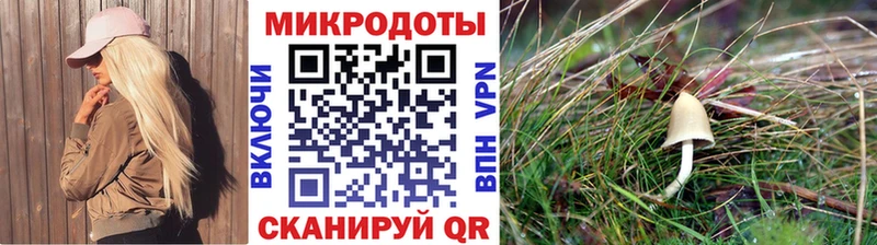 кракен сайт  Людиново  Псилоцибиновые грибы ЛСД  наркотики 
