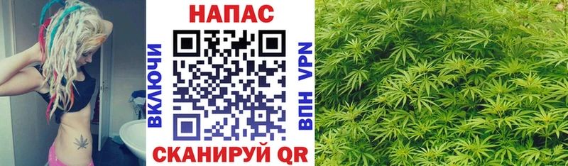 Бошки марихуана Bruce Banner  Людиново 
